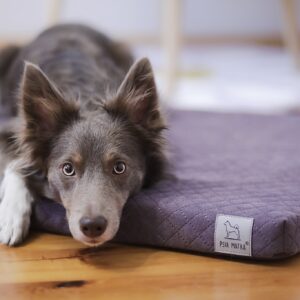 Materac dla psa, legowisko dla psa