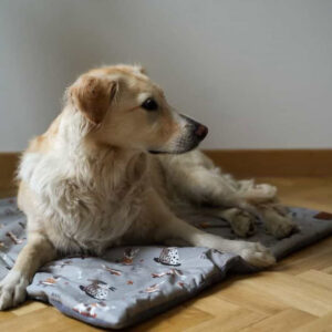 Happy Dog - bawełniany kocyk dla psa