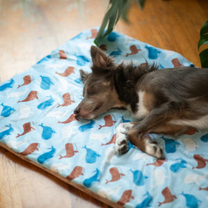 Kocyk dla psa - WHALEme! - mata dla psa