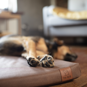 Materac dla psa z wodoodpornym pokrowcem